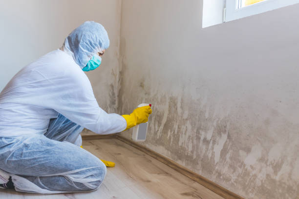 Commercial Mold Remediation assessment for commercial property in Hartfield