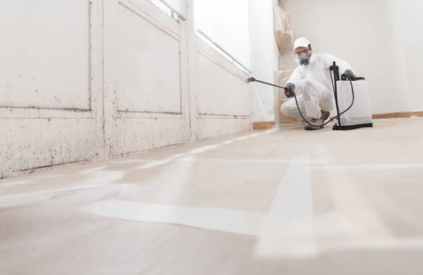 Black mold remediation team in Hartfield