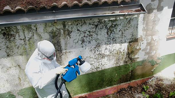 Mold Remediation service in Hartfield, Hartfield, VA